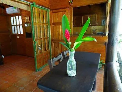 Flor De Paraiso Bungalows Montezuma Exterior photo