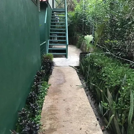 Flor De Paraiso Bungalows Montezuma Exterior photo