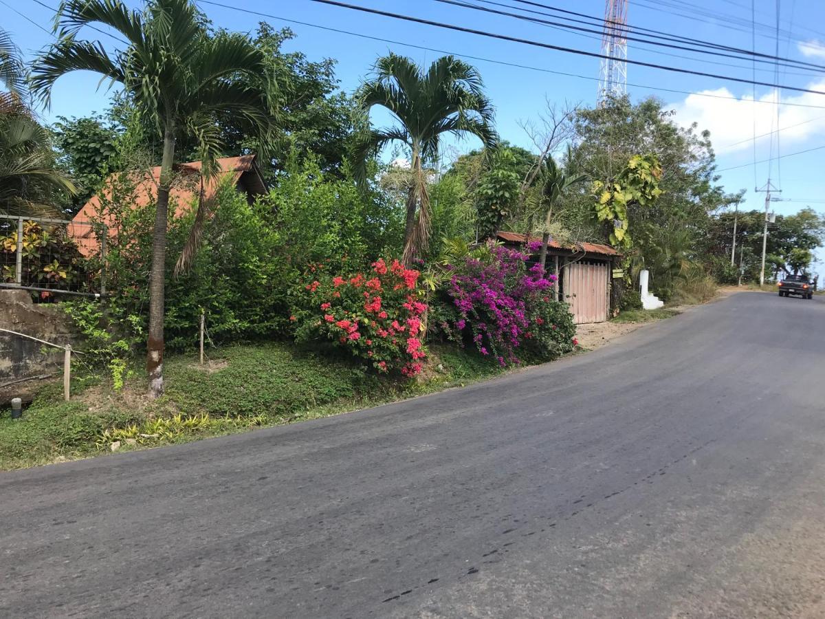 Flor De Paraiso *