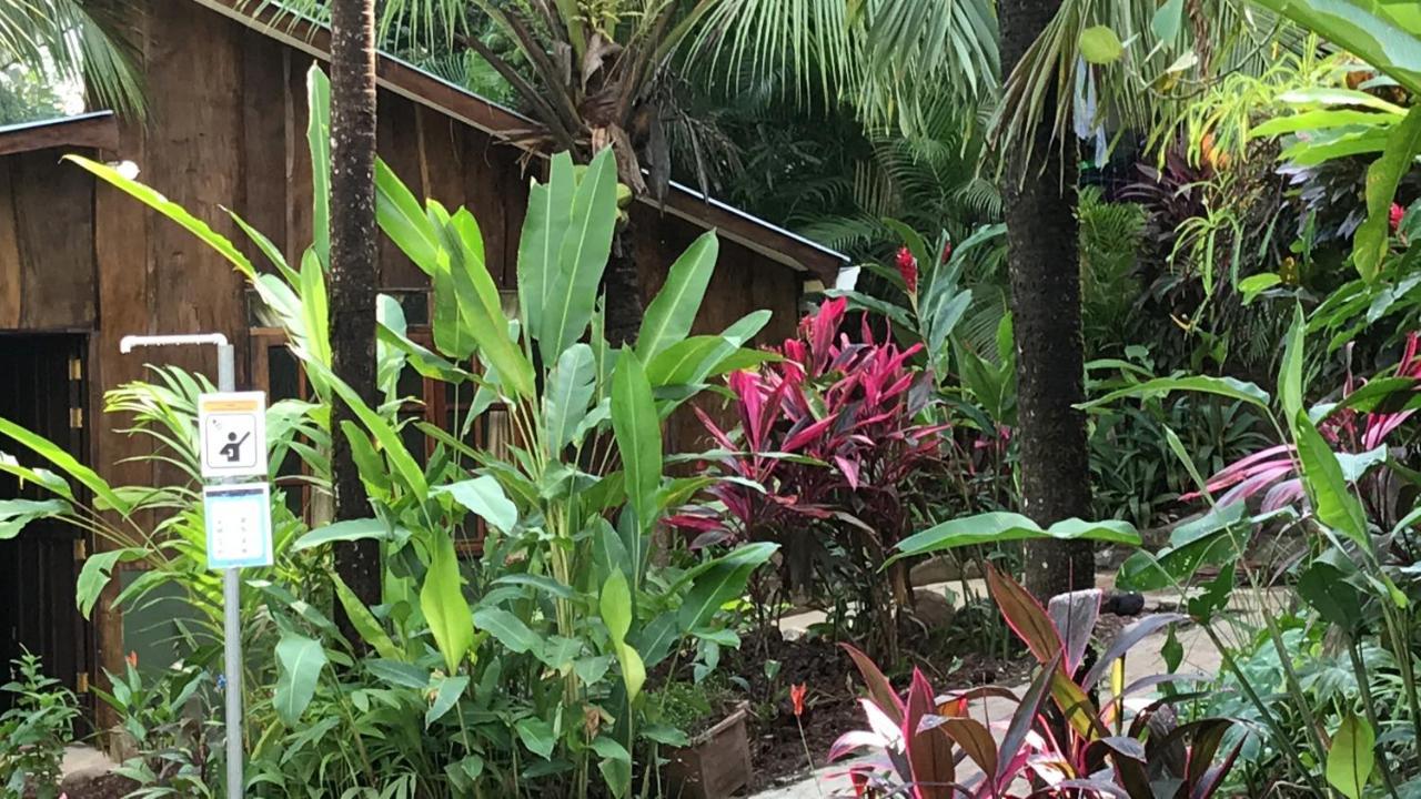 Flor De Paraiso Apartment *