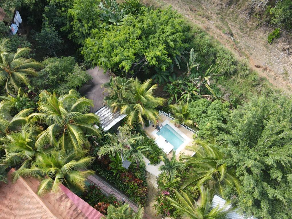 Flor De Paraiso Montezuma