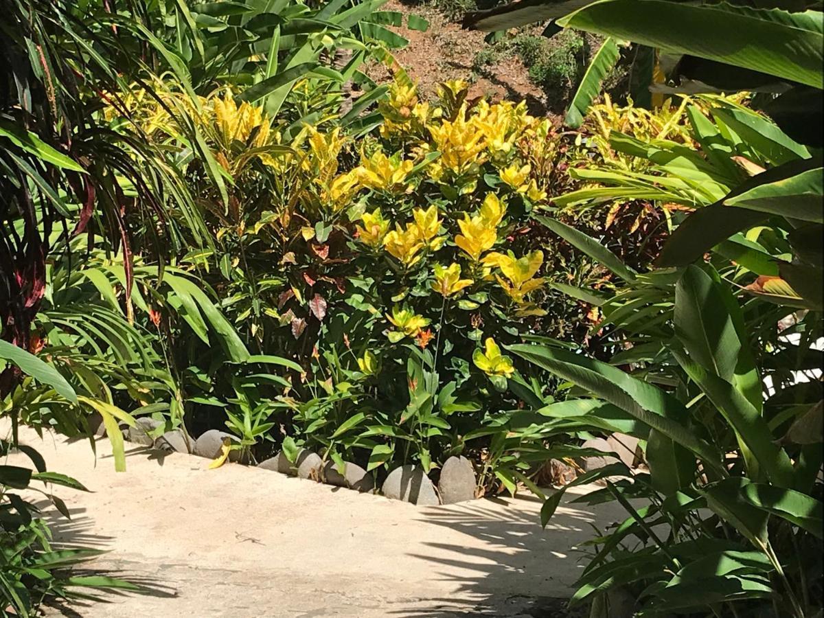 Apartment Flor De Paraiso Montezuma