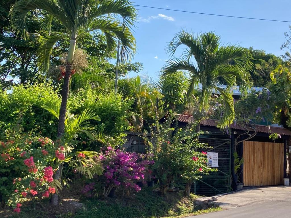 Flor De Paraiso Apartment