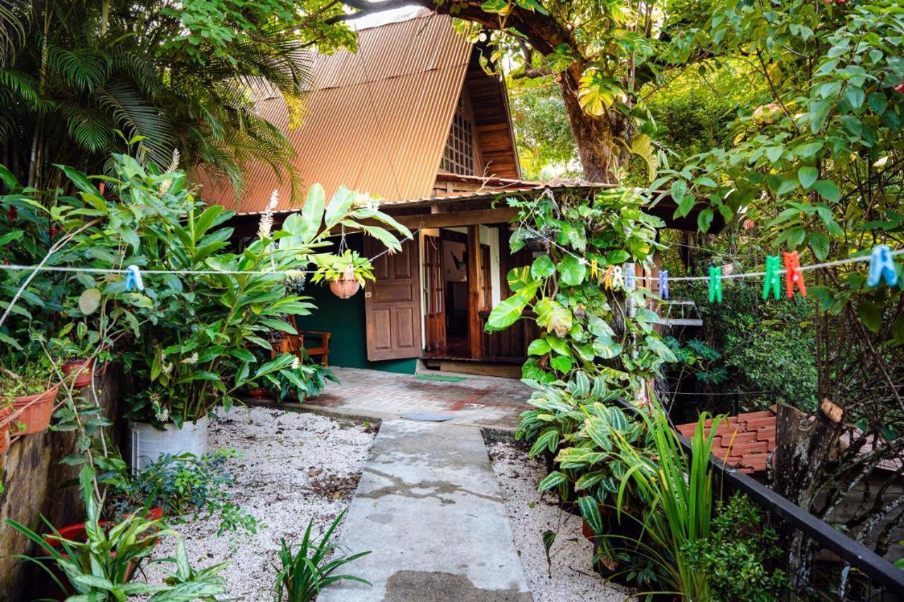Apartment Flor De Paraiso Montezuma